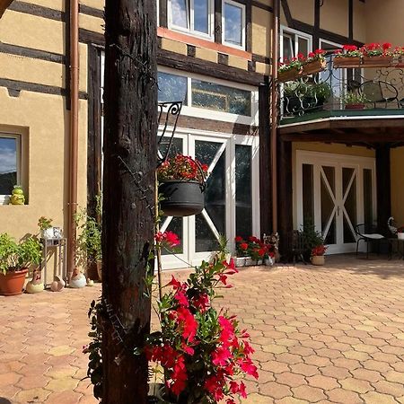 Zewwelatreppler - La Grange Aux Petits Oignons - Chambre Cigogne Selestat Ngoại thất bức ảnh