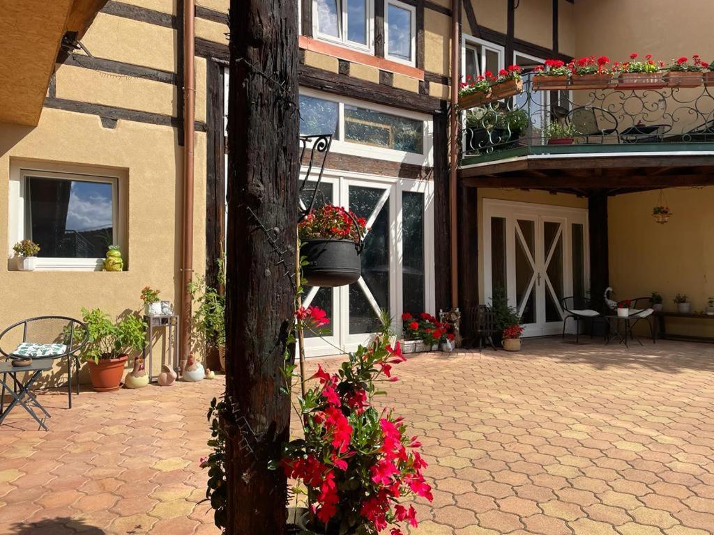 Zewwelatreppler - La Grange Aux Petits Oignons - Chambre Cigogne Selestat Ngoại thất bức ảnh